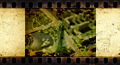image02