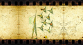 image05